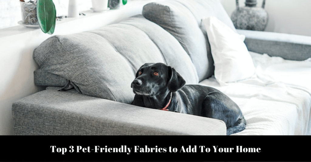 Top 3 Pet-Friendly Fabrics to Add To Your Home
